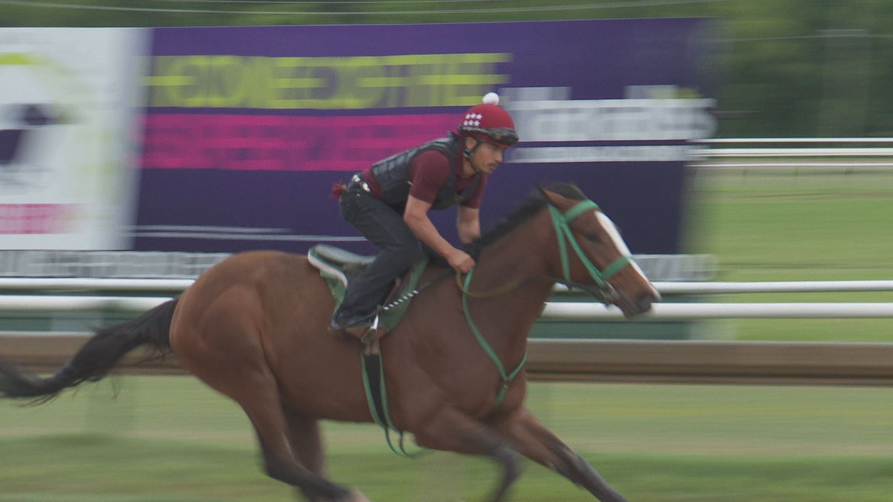 Horse Racing.jpg